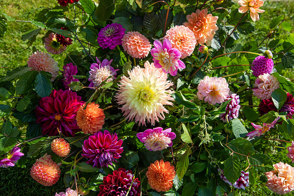 Summer bright hues for wedding flowers