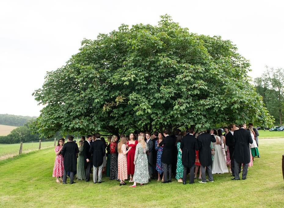 wedding guests under a tree for a rainy day outdoor wedding