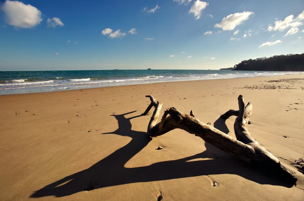 Priory Bay destination wedding Isle of Wight